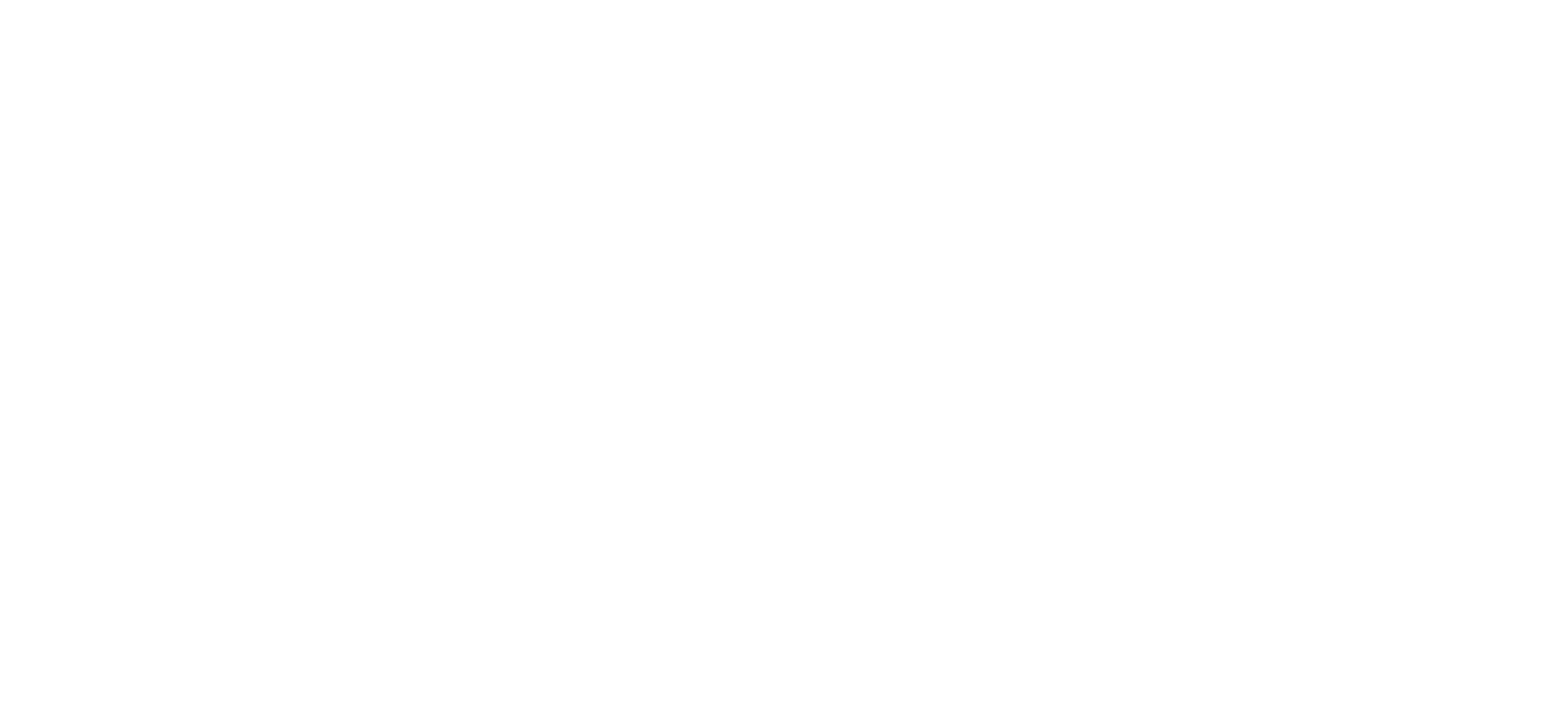 C++